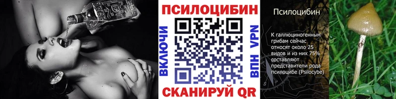 Псилоцибиновые грибы прущие грибы  Купить закладки  Калач-на-Дону 